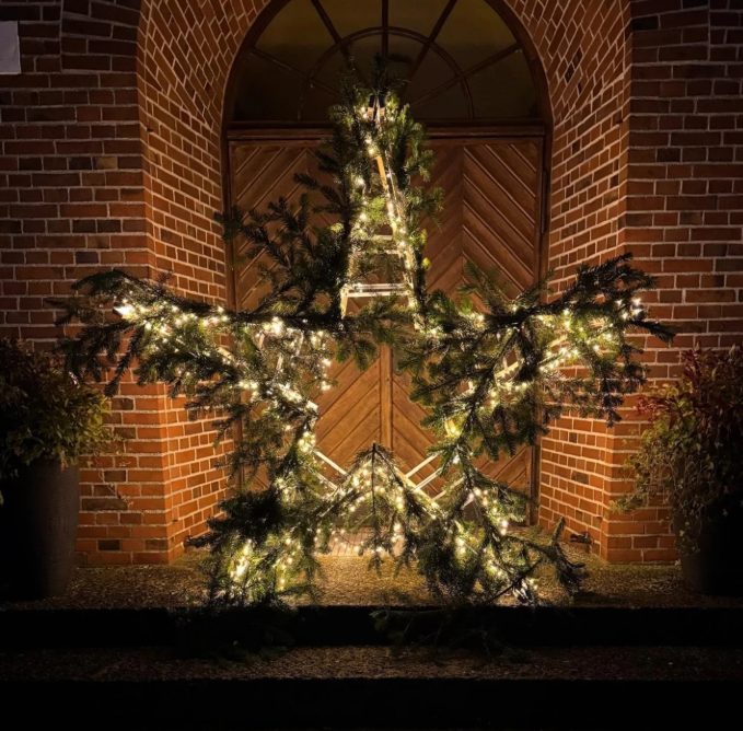 Weihnachtsstern_2025.jpeg